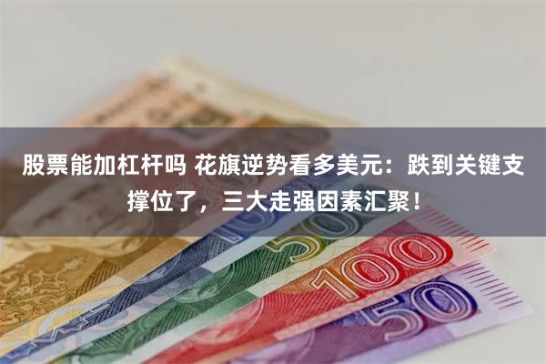 股票能加杠杆吗 花旗逆势看多美元：跌到关键支撑位了，三大走强因素汇聚！