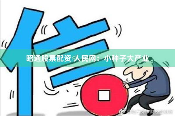 昭通股票配资 人民网：小种子大产业