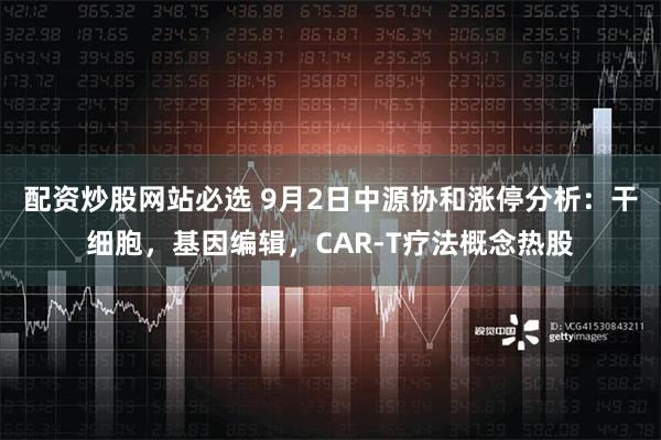 配资炒股网站必选 9月2日中源协和涨停分析：干细胞，基因编辑，CAR-T疗法概念热股