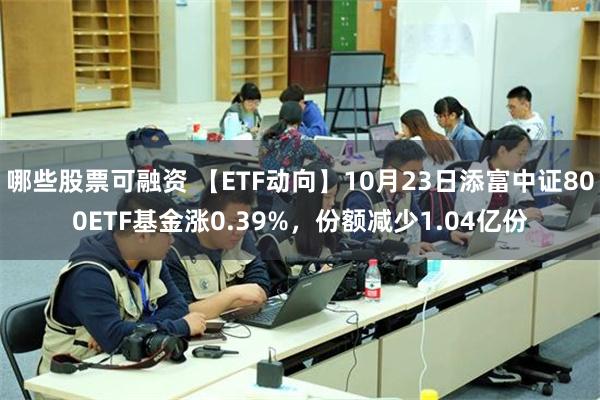 哪些股票可融资 【ETF动向】10月23日添富中证800ETF基金涨0.39%，份额减少1.04亿份