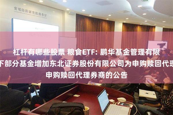 杠杆有哪些股票 粮食ETF: 鹏华基金管理有限公司关于旗下部分基金增加东北证券股份有限公司为申购赎回代理券商的公告